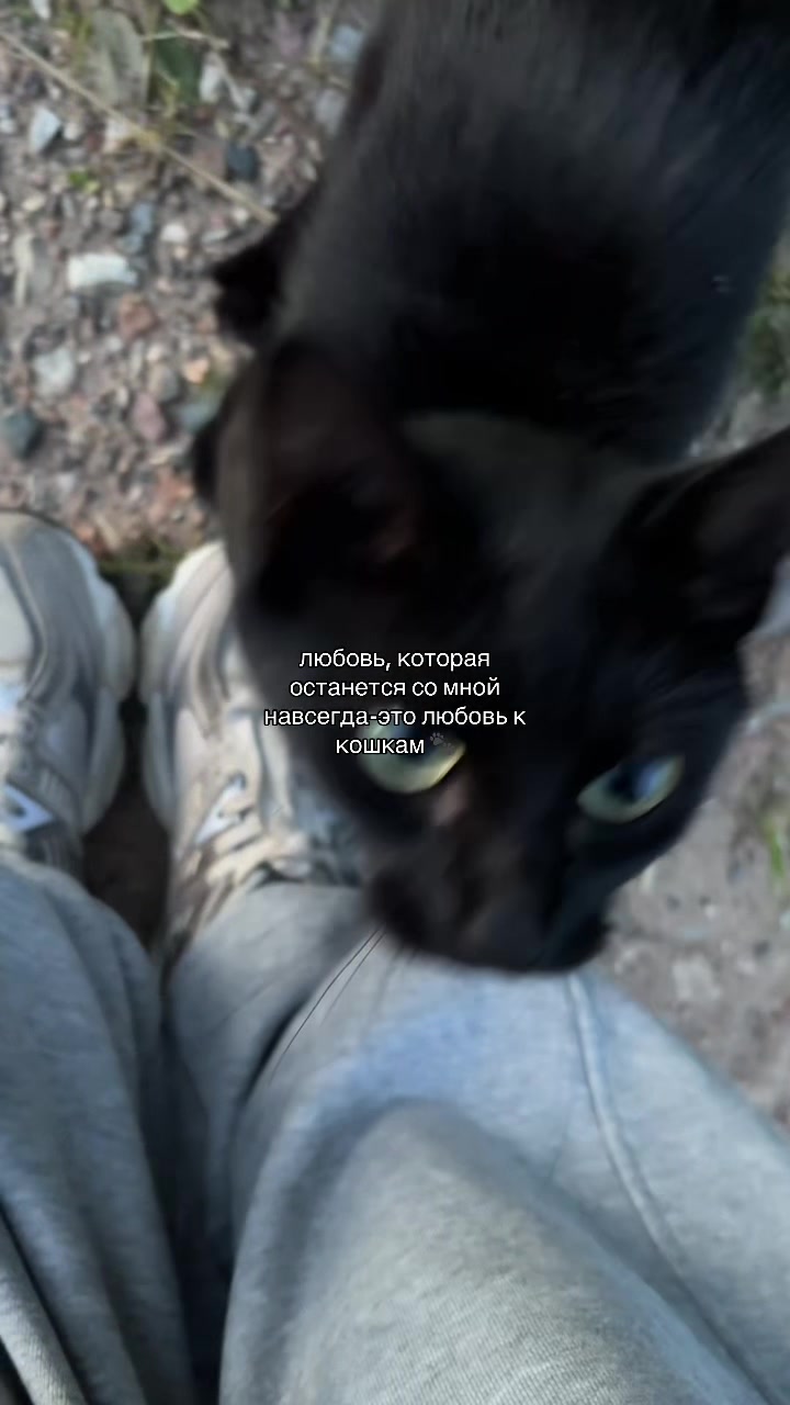 @дия