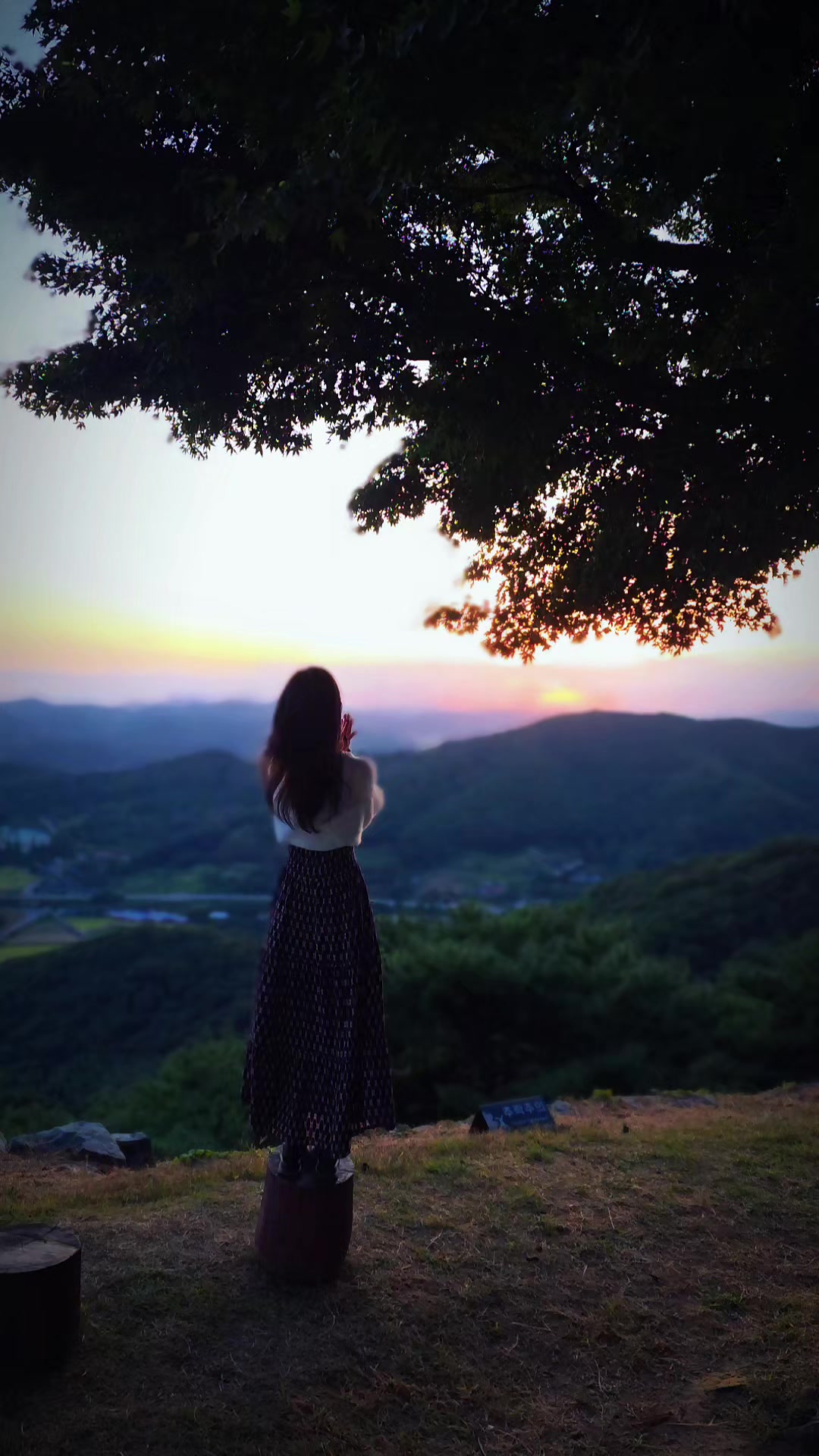 @비나보로 [Vinaboro]