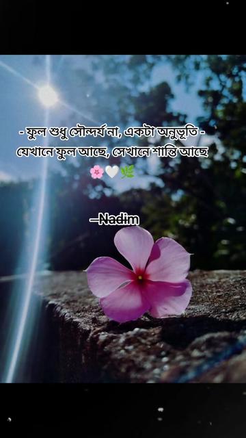 @◦•●◉✿Nadim ✿◉●•◦