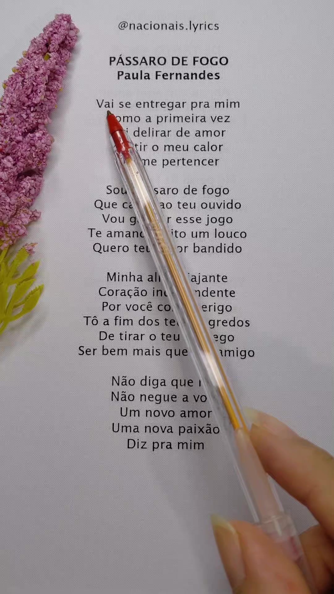 @nacionais lyrics