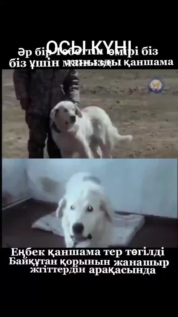 @Нурик Нурик