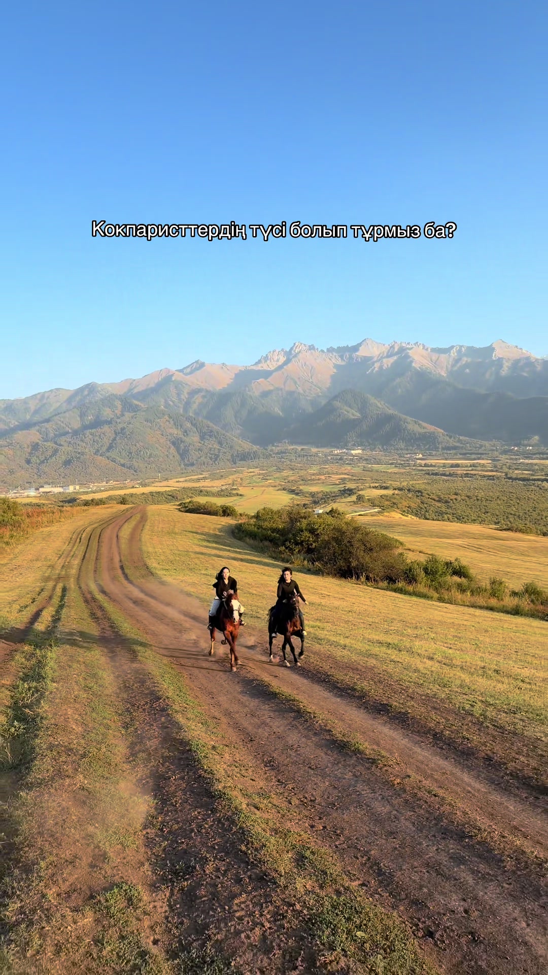 @akshatau_horses