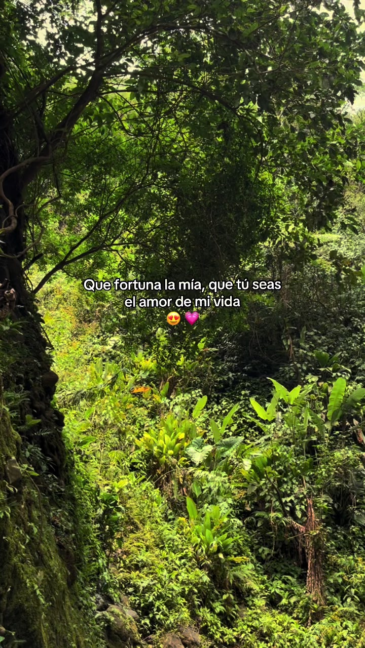 @ANAHÍ_💗