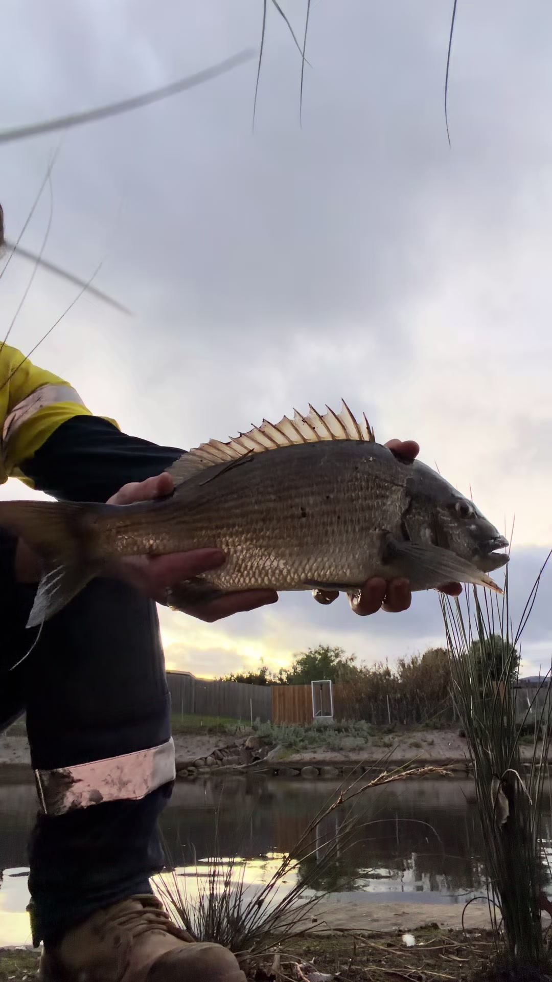 @fishing_southtas