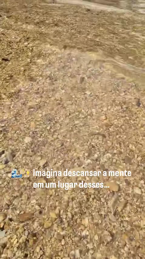 @colanimnoix