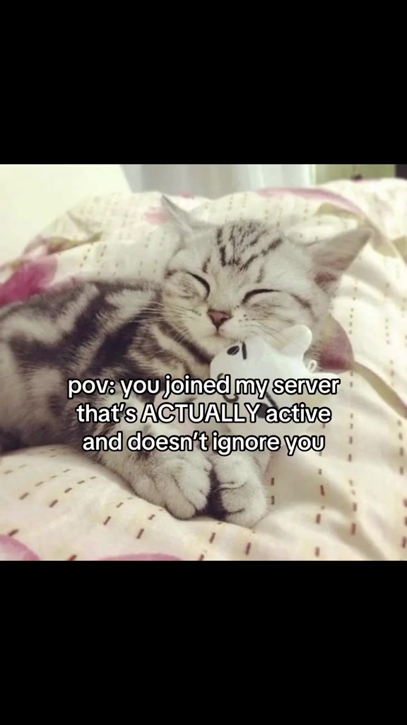 @jintz