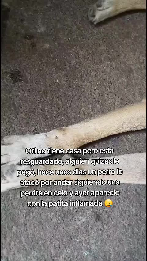 @𝕃𝕚𝕤𝕤 ℝ𝕖yes🇸🇻