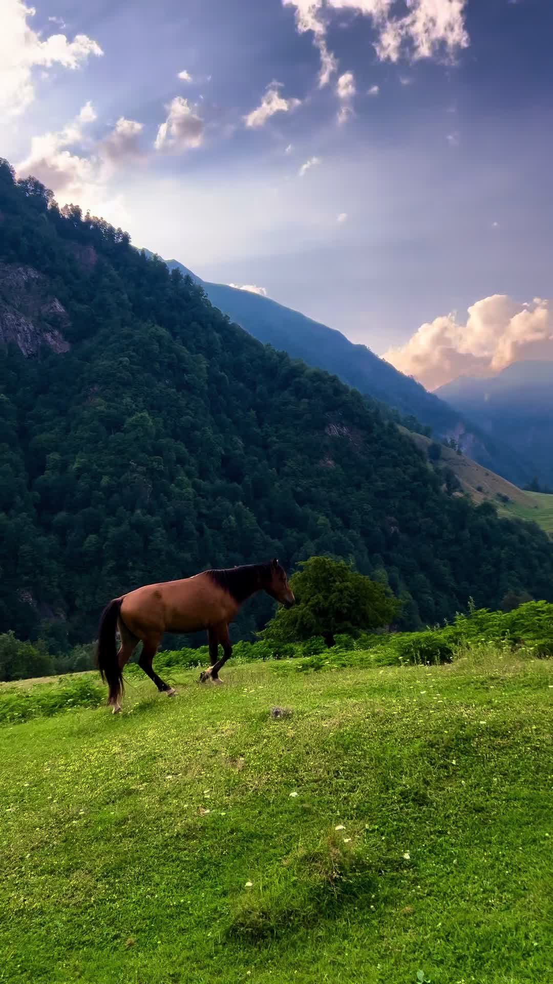 @𝑨𝒅𝒊𝒍𝒐𝒗🌿