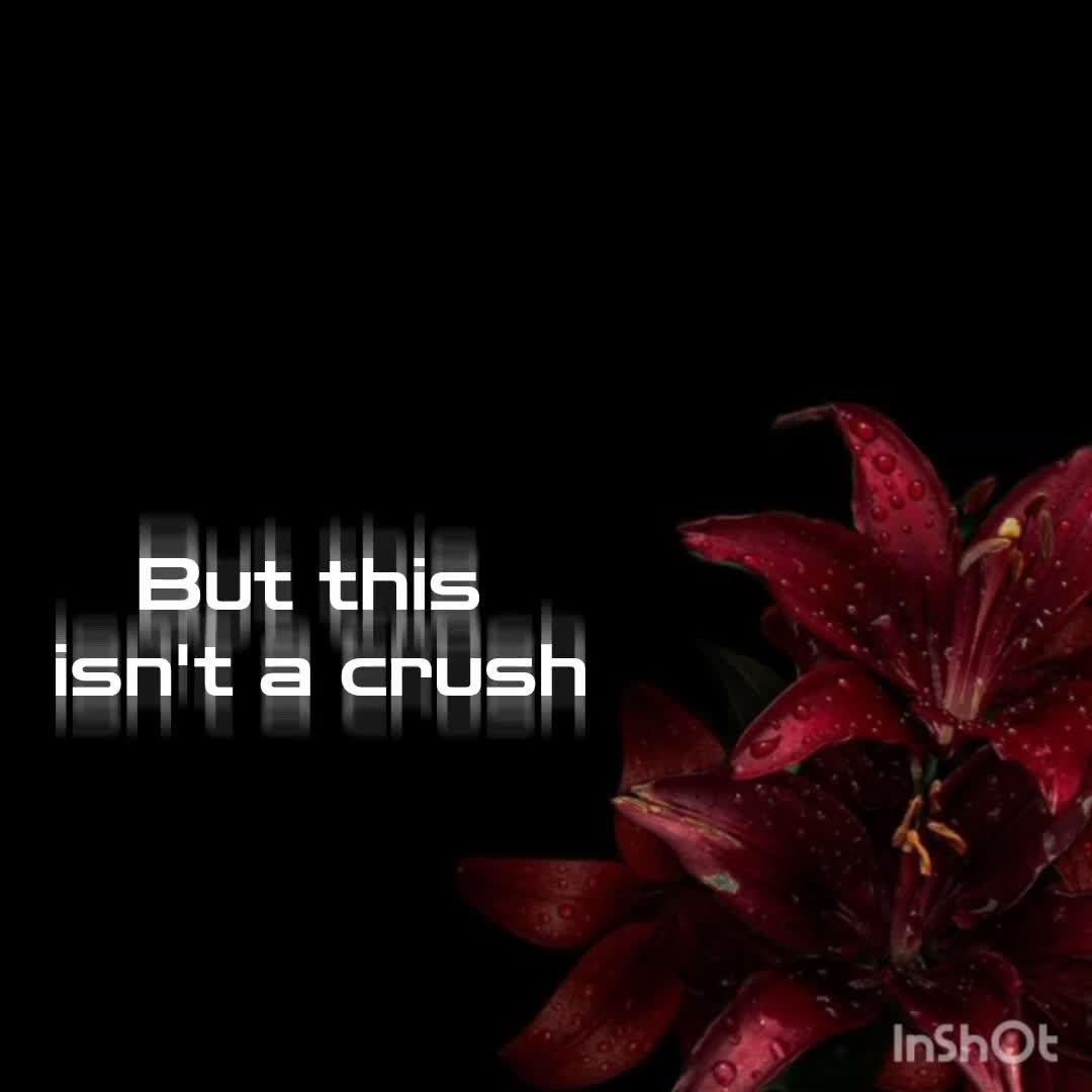 @editz.by.tani