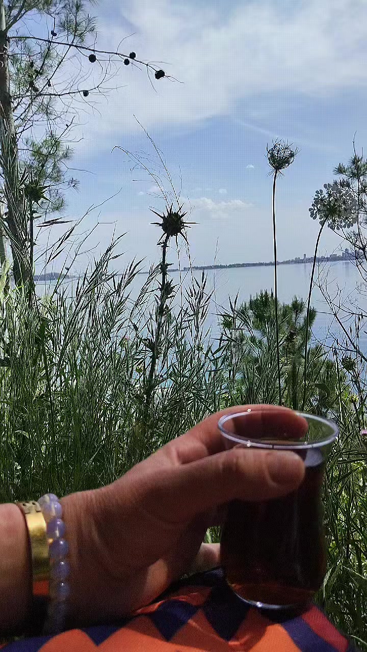 @🌼