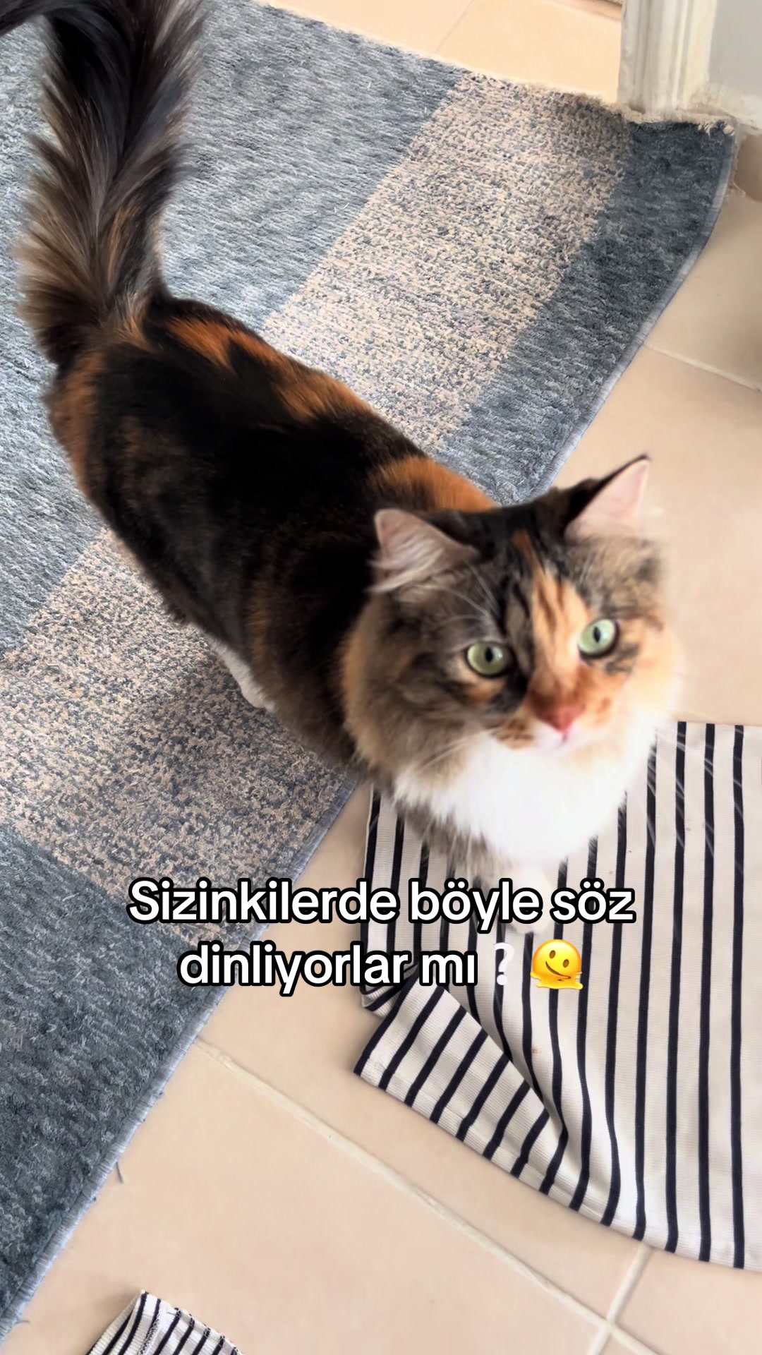 @konusankediminnos