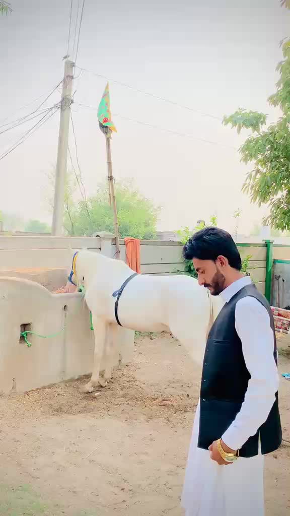 @🦁SARDAR MOBEEN KHAN🦅