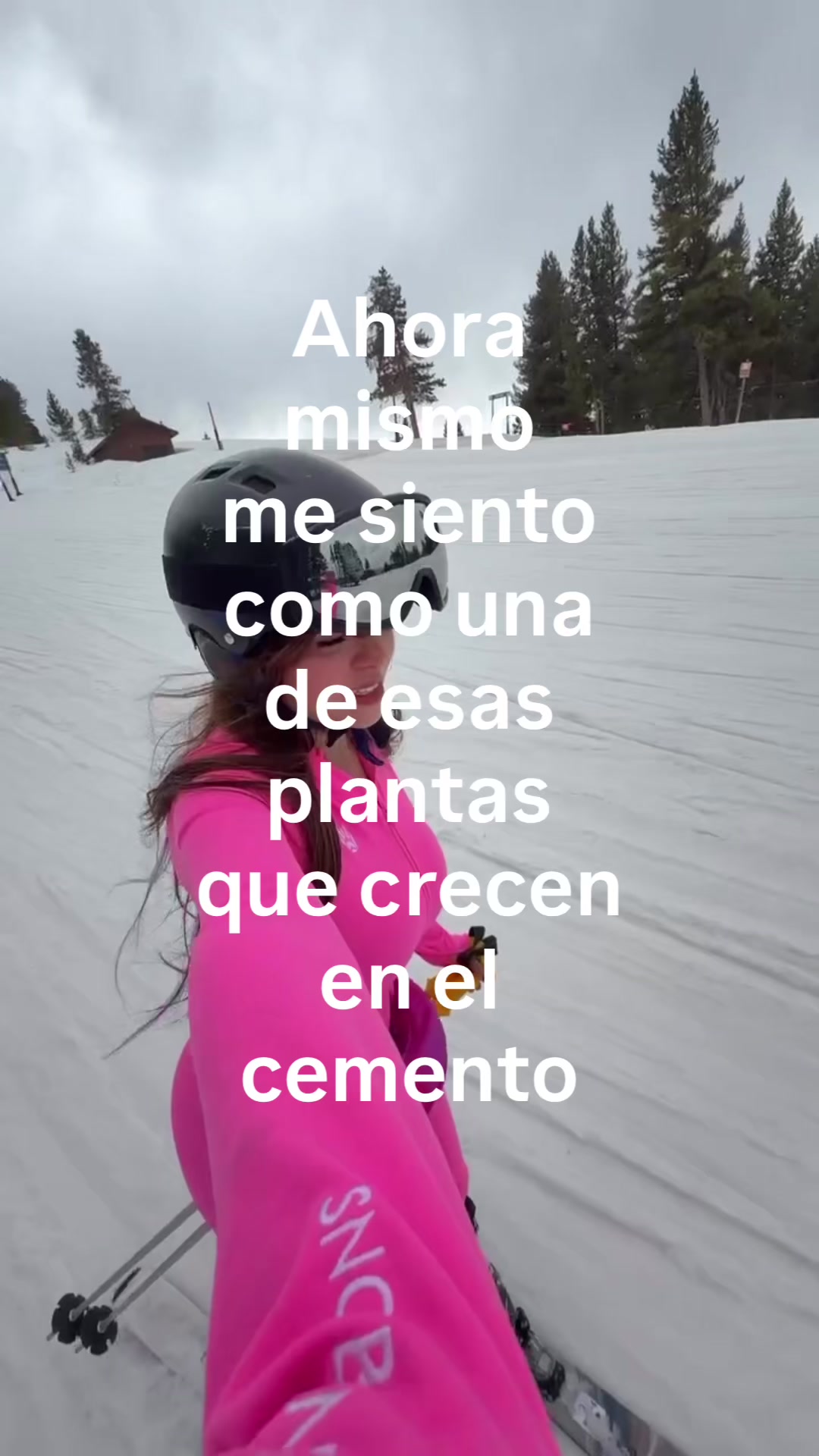 @DanyanCat