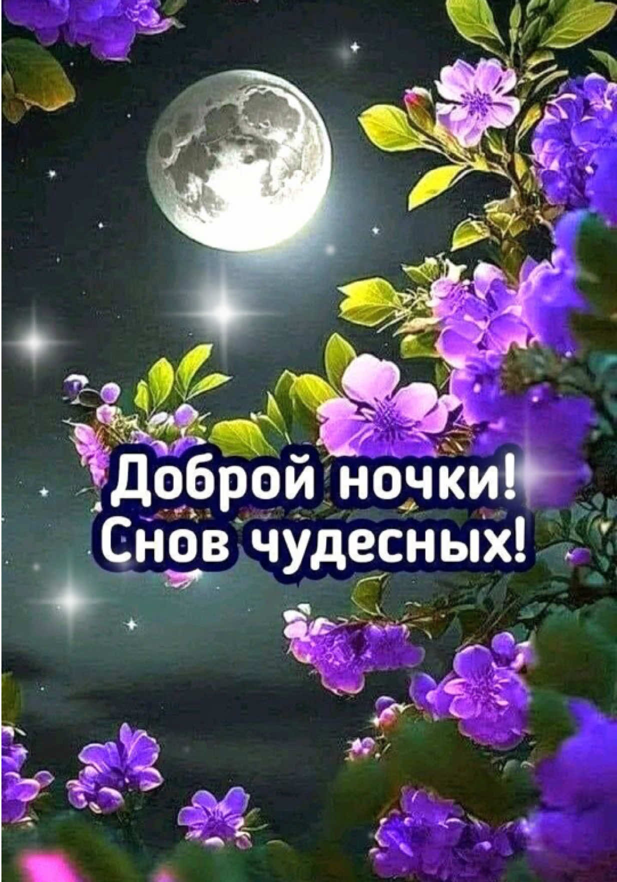 @111chao777