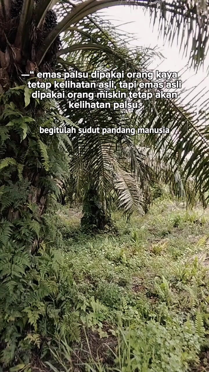 @Yudi
