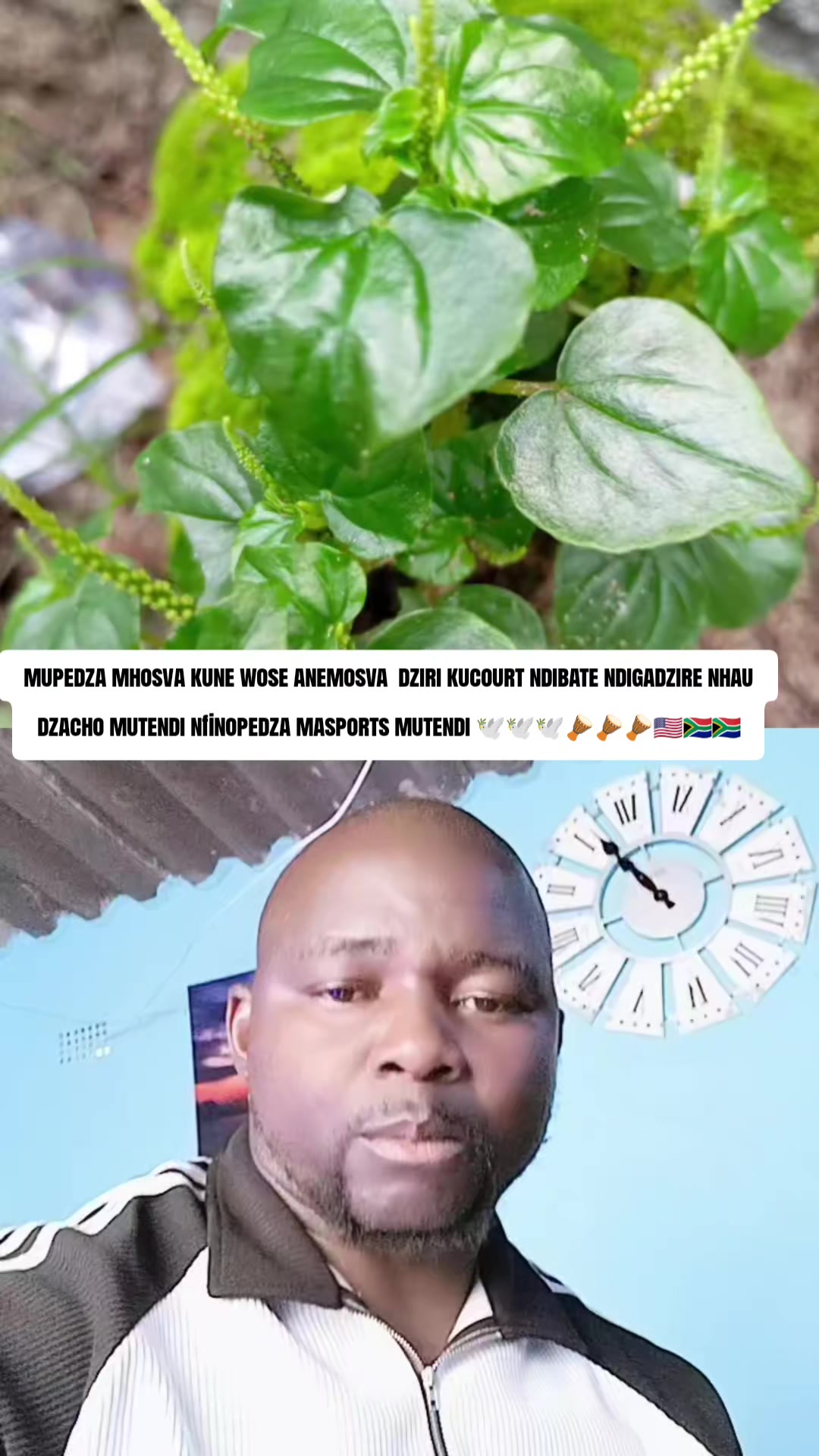 @👑MAMBOSAMSON SHUMBA YEMATARE