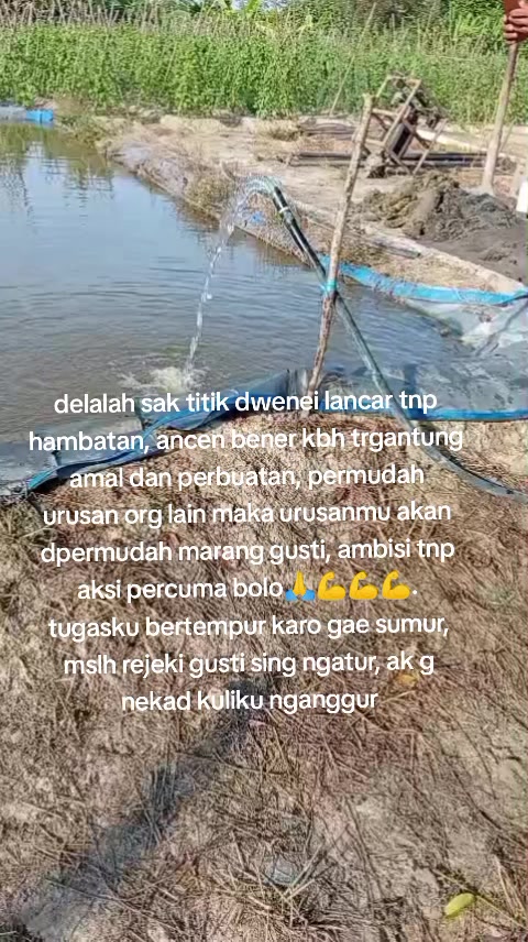 @paini347