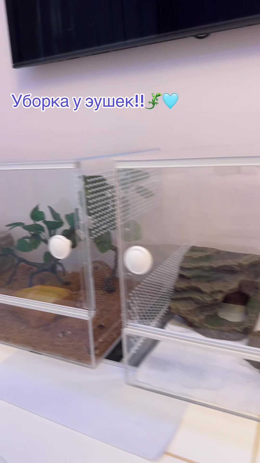 @_.v_snail_v._