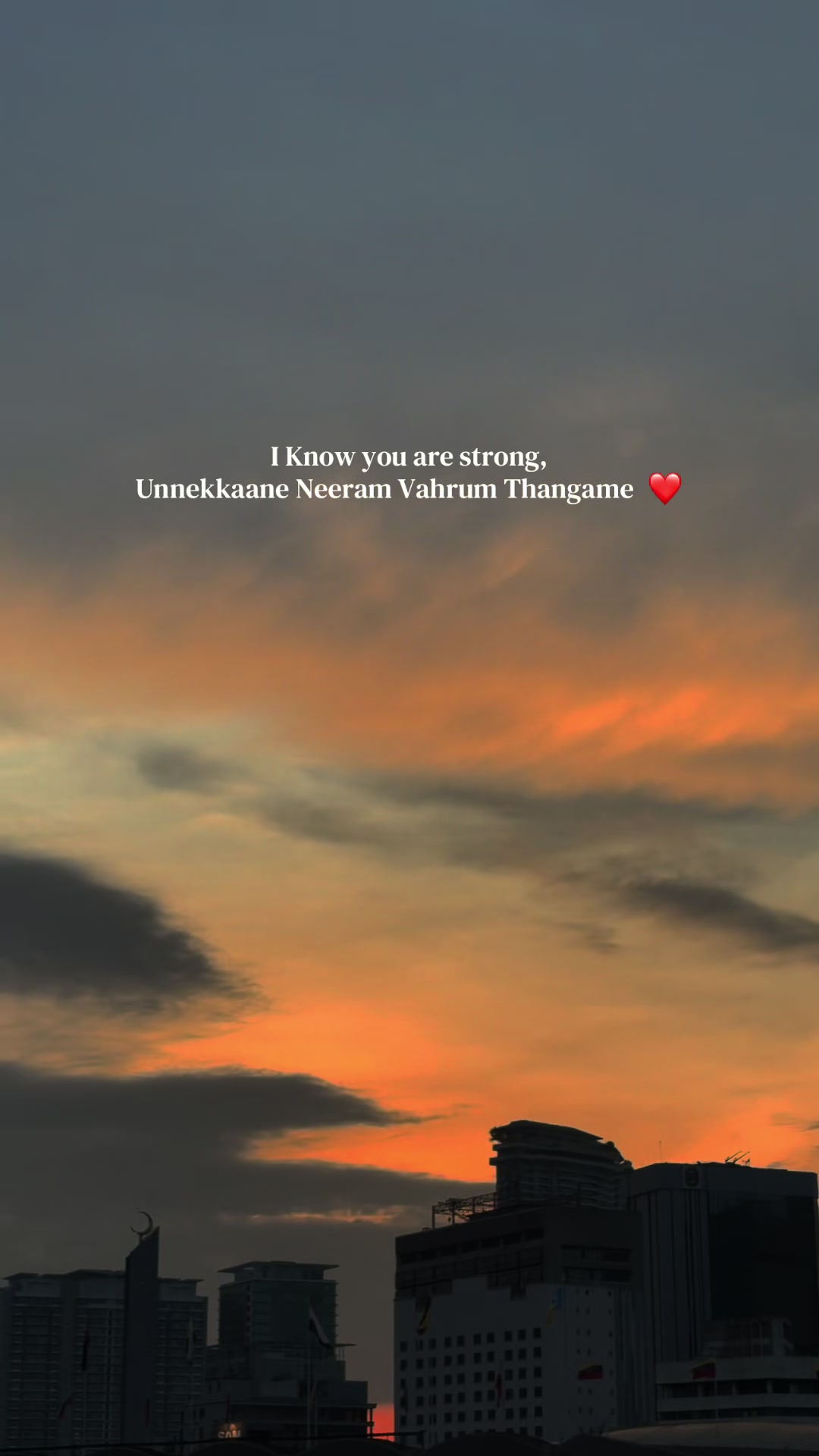 @ѕυηѕнιηє✨
