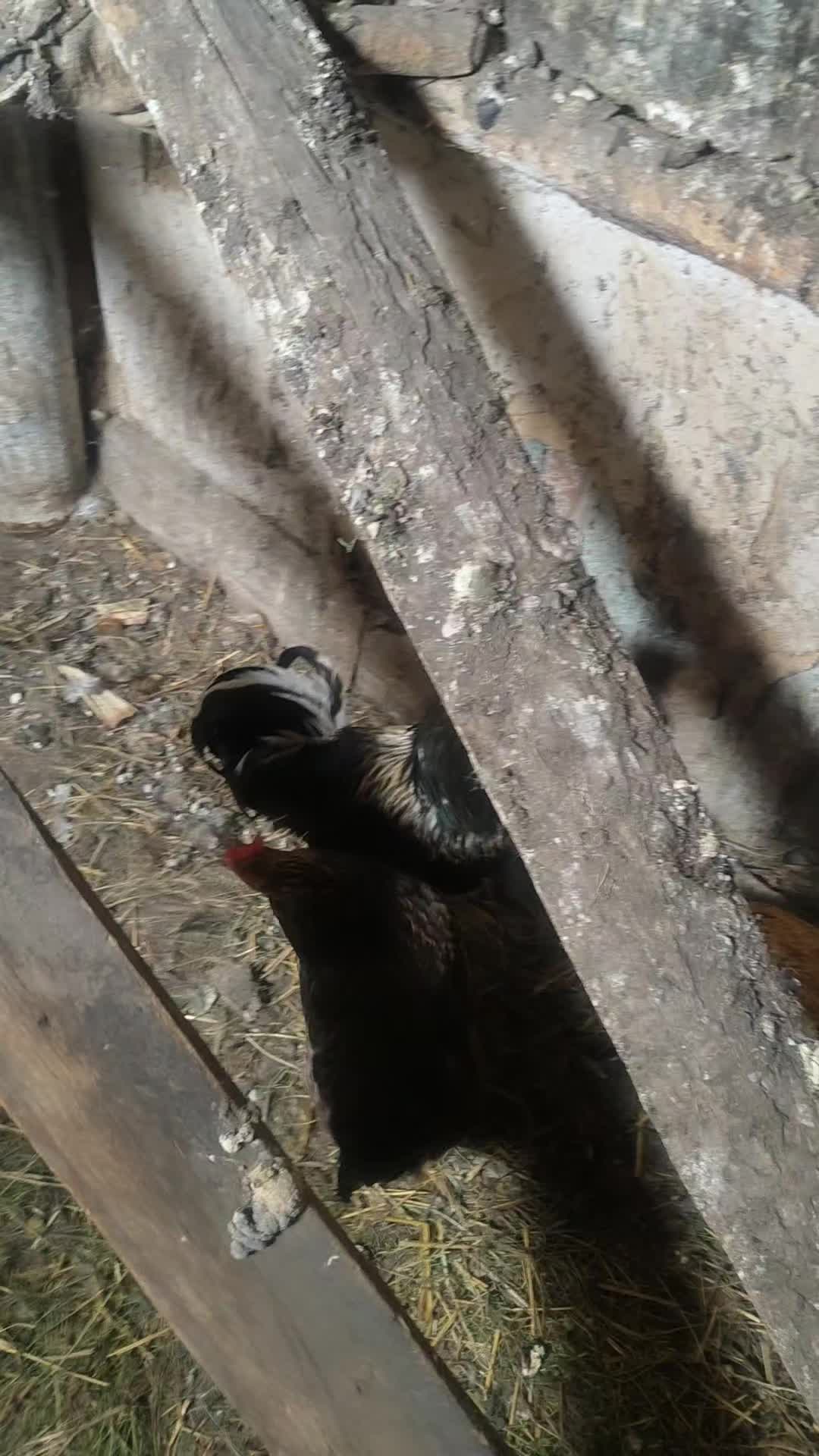 @попотряс маршмелоу 2🇰🇿🇰🇿