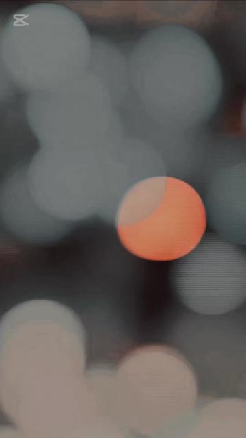 @𓆩𝔸𝕣𝕤𝕙𝕒𝕕 𝕆𝕣𝕜𝕫𝕒𝕚𓆪