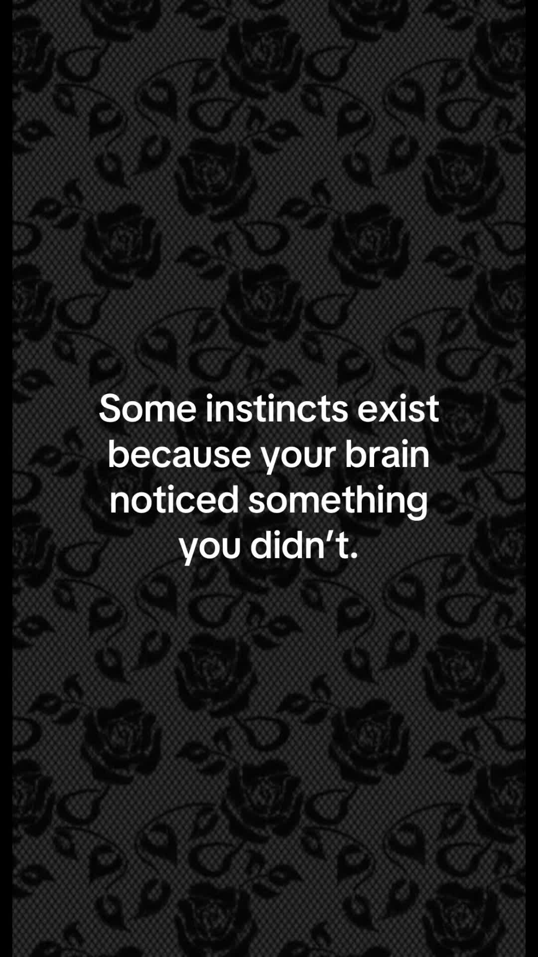 @Lady Lisa 🖤