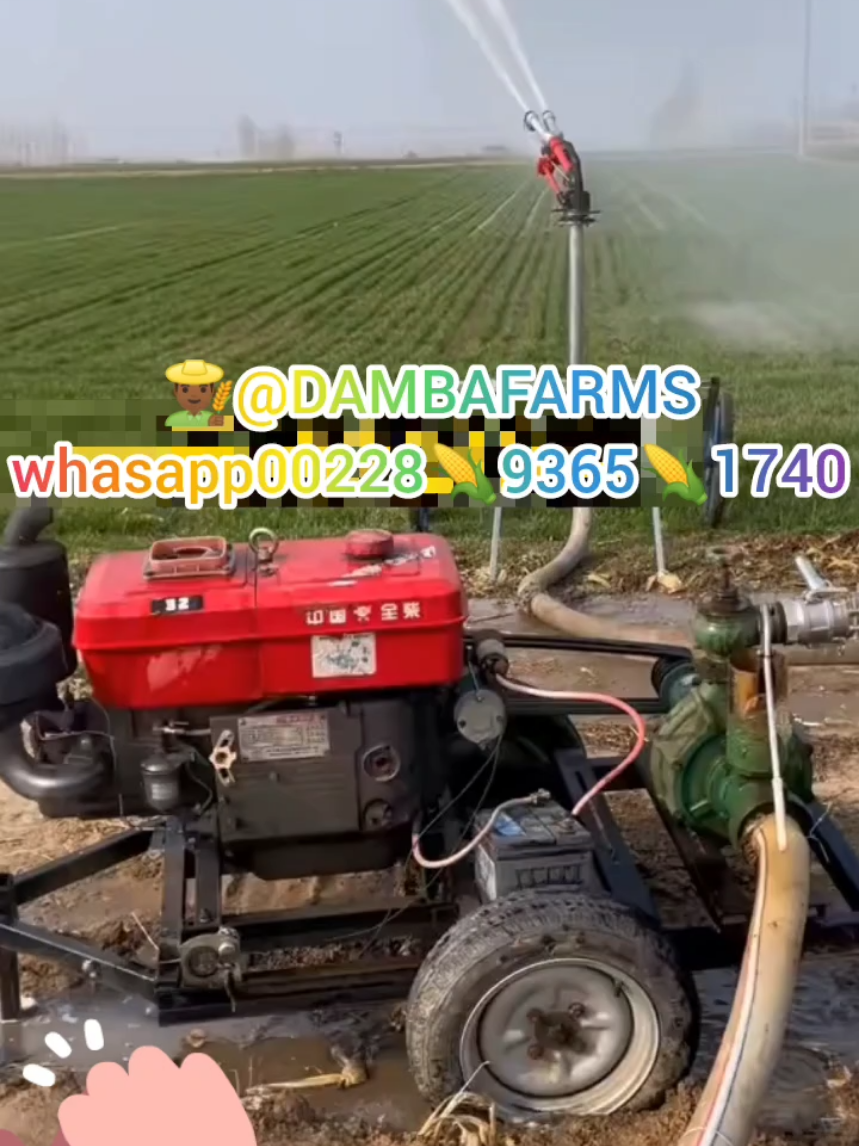 @dambafarms