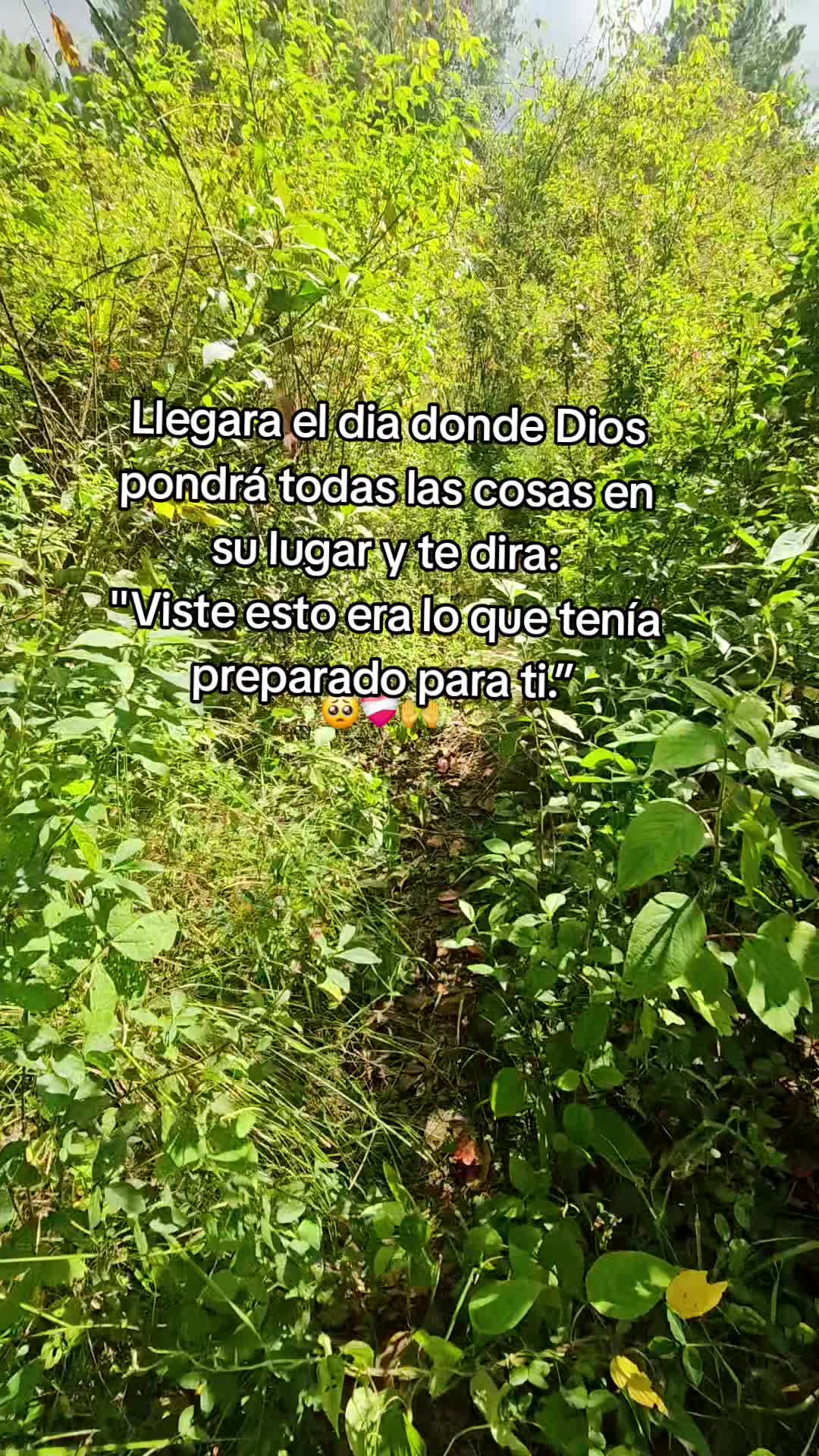 @CONSTRUCCIONES VICASTHER