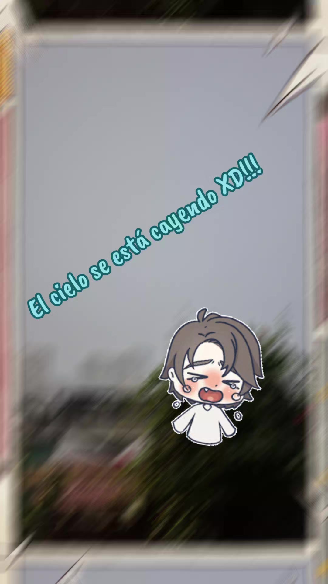 @joy_moon09