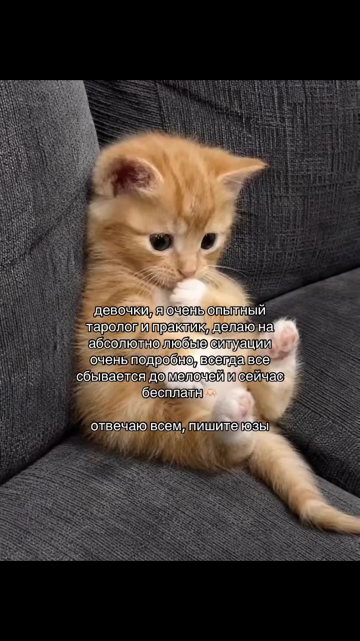 @prtarr0tka