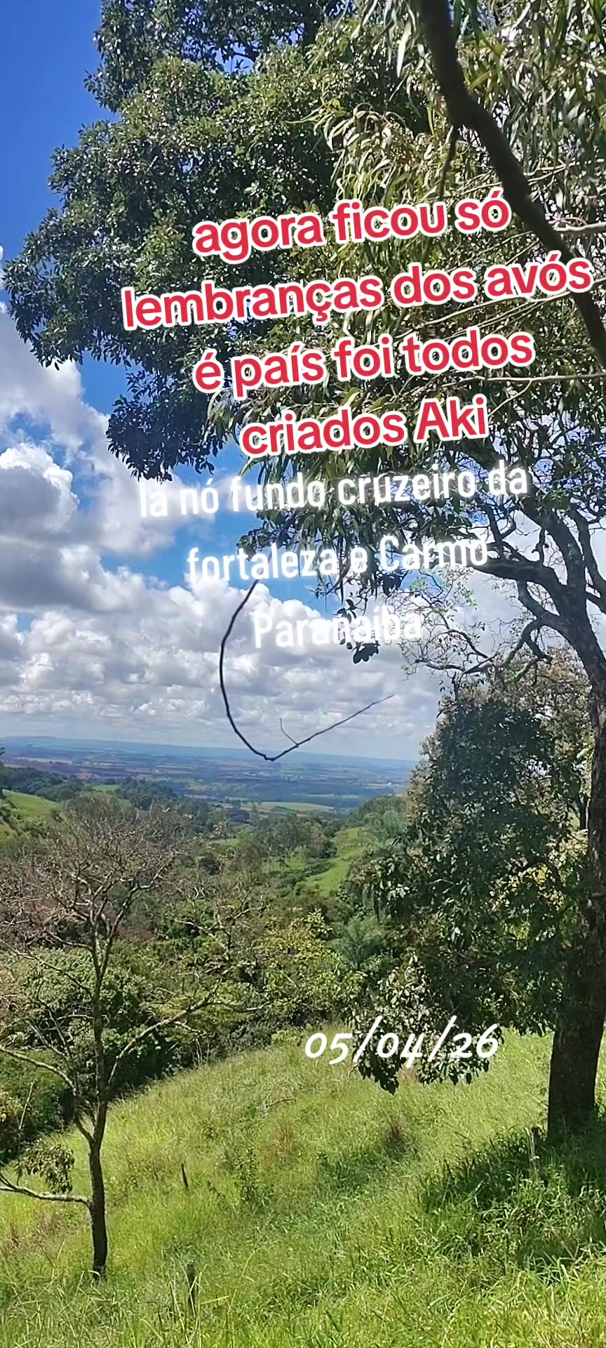 @aparecidamachado303