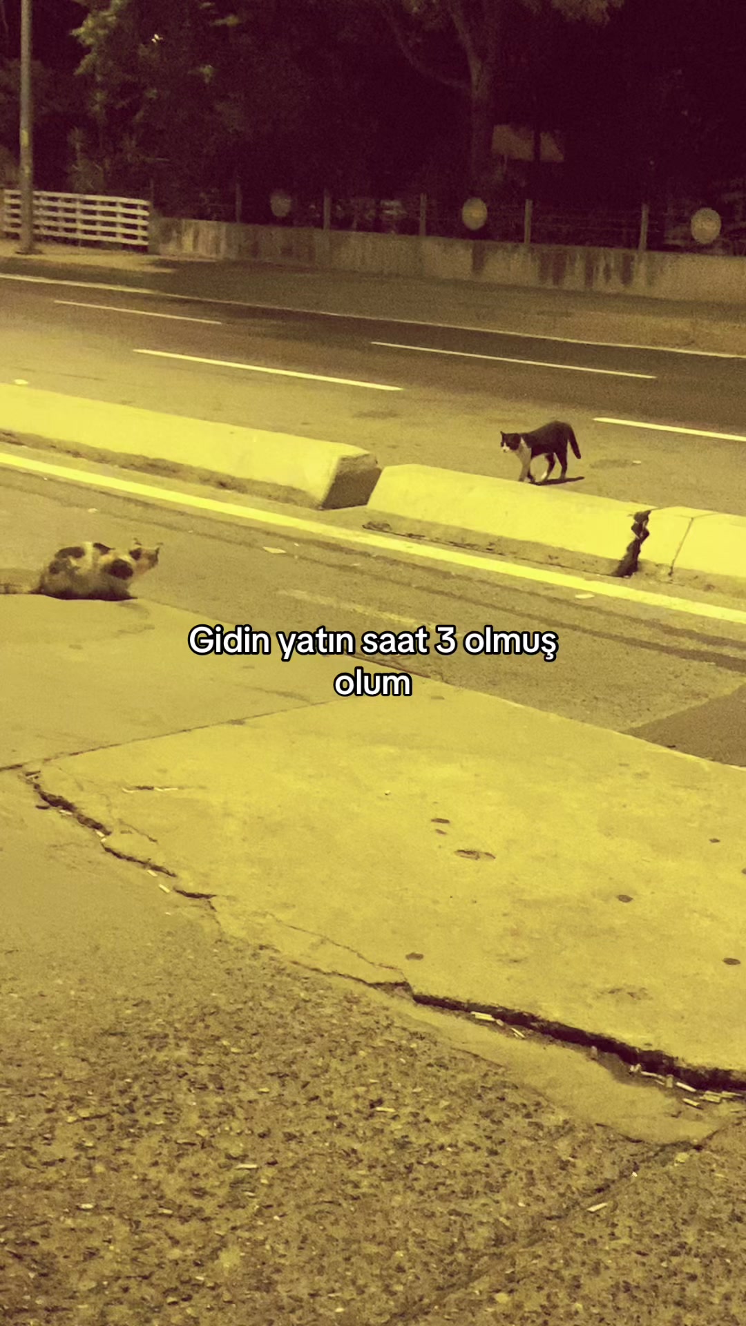 @Beyazzenci