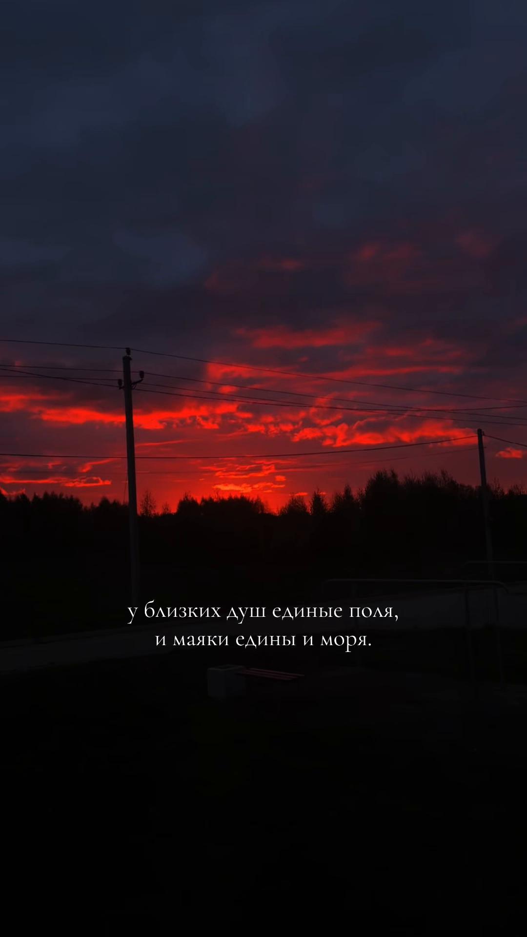 @DMITRIEVNA7877