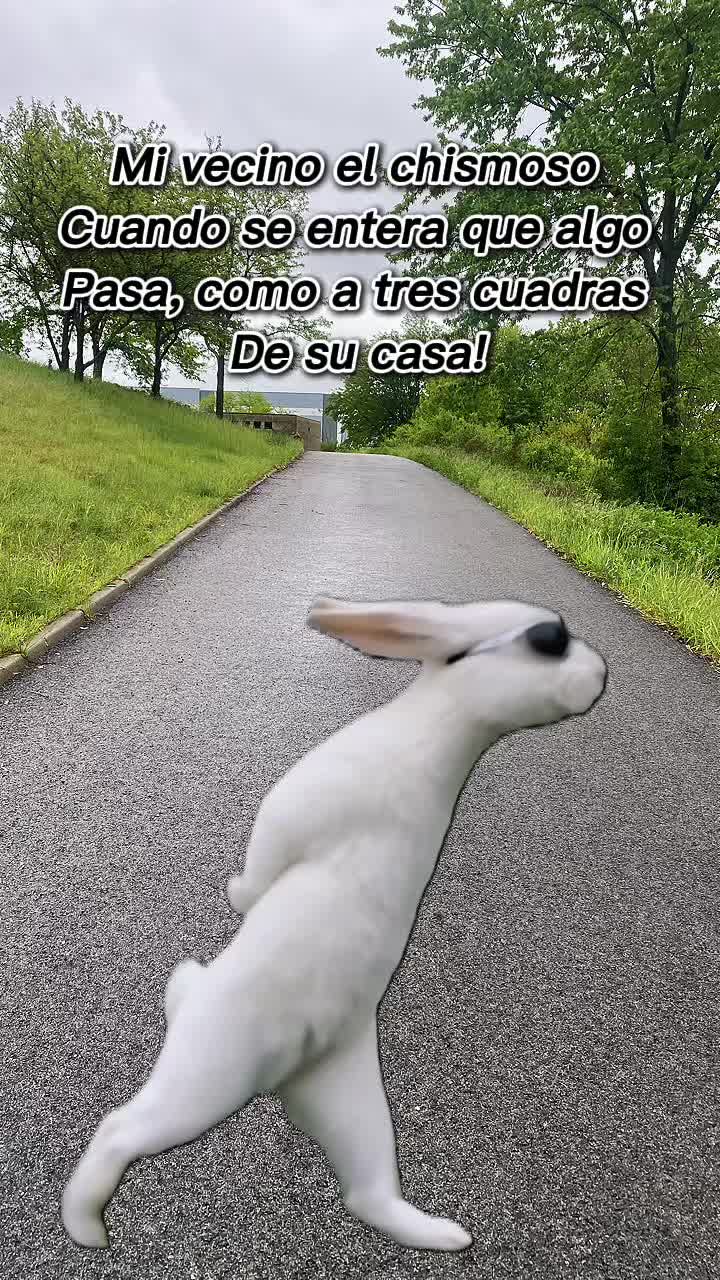@JIbarra