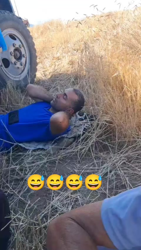 @SEY_MUR_043