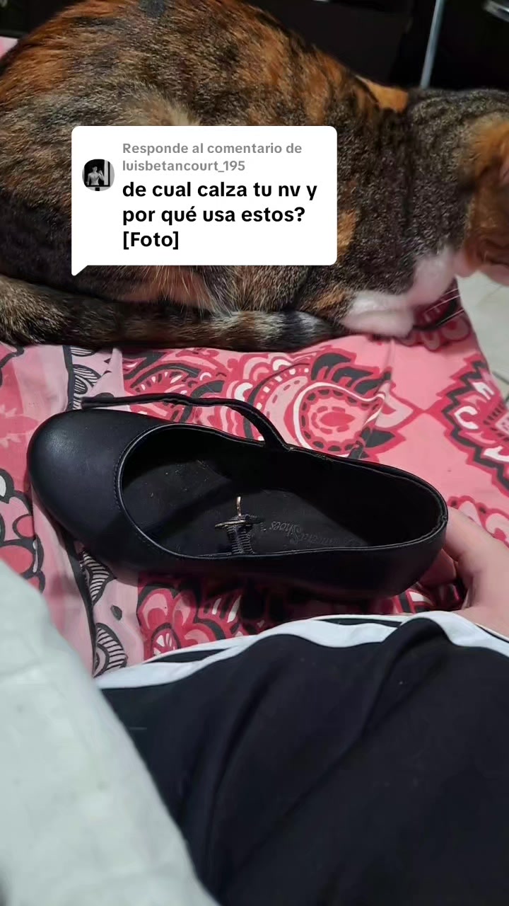 @alexcet