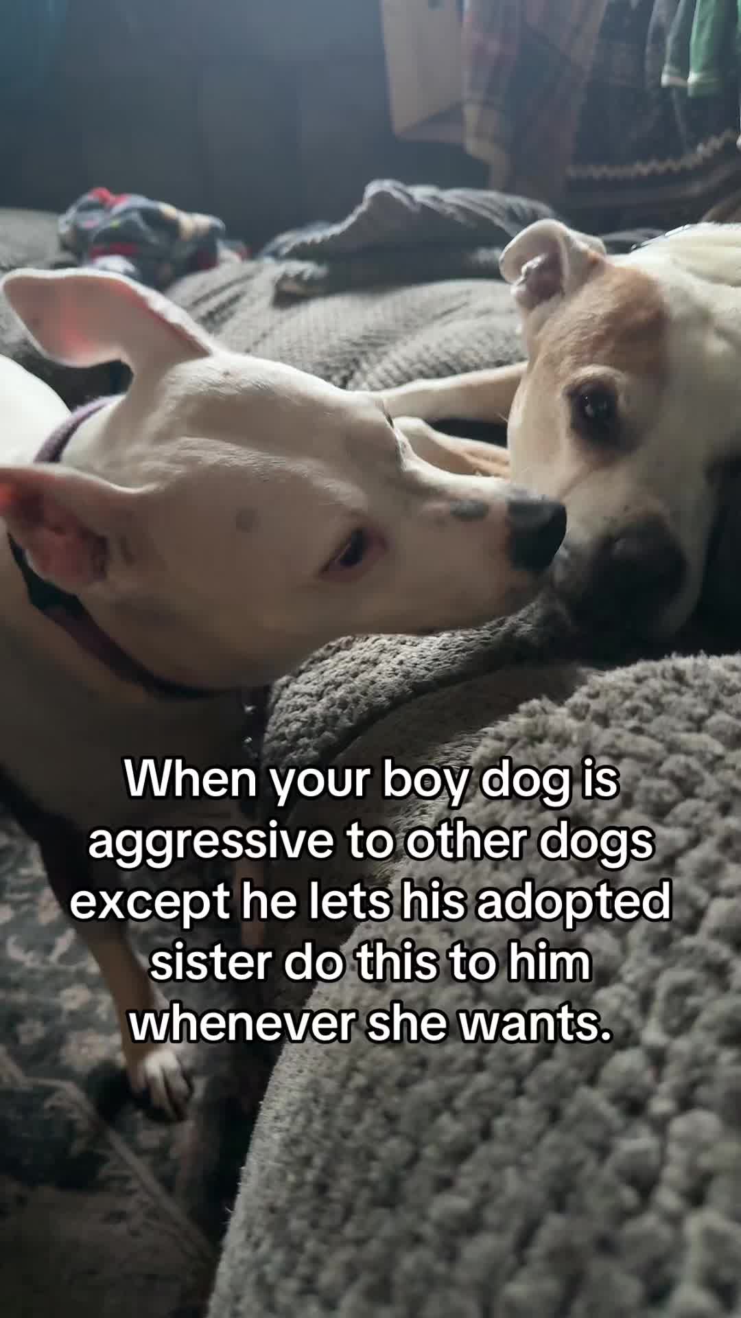 @m0rgan_renee