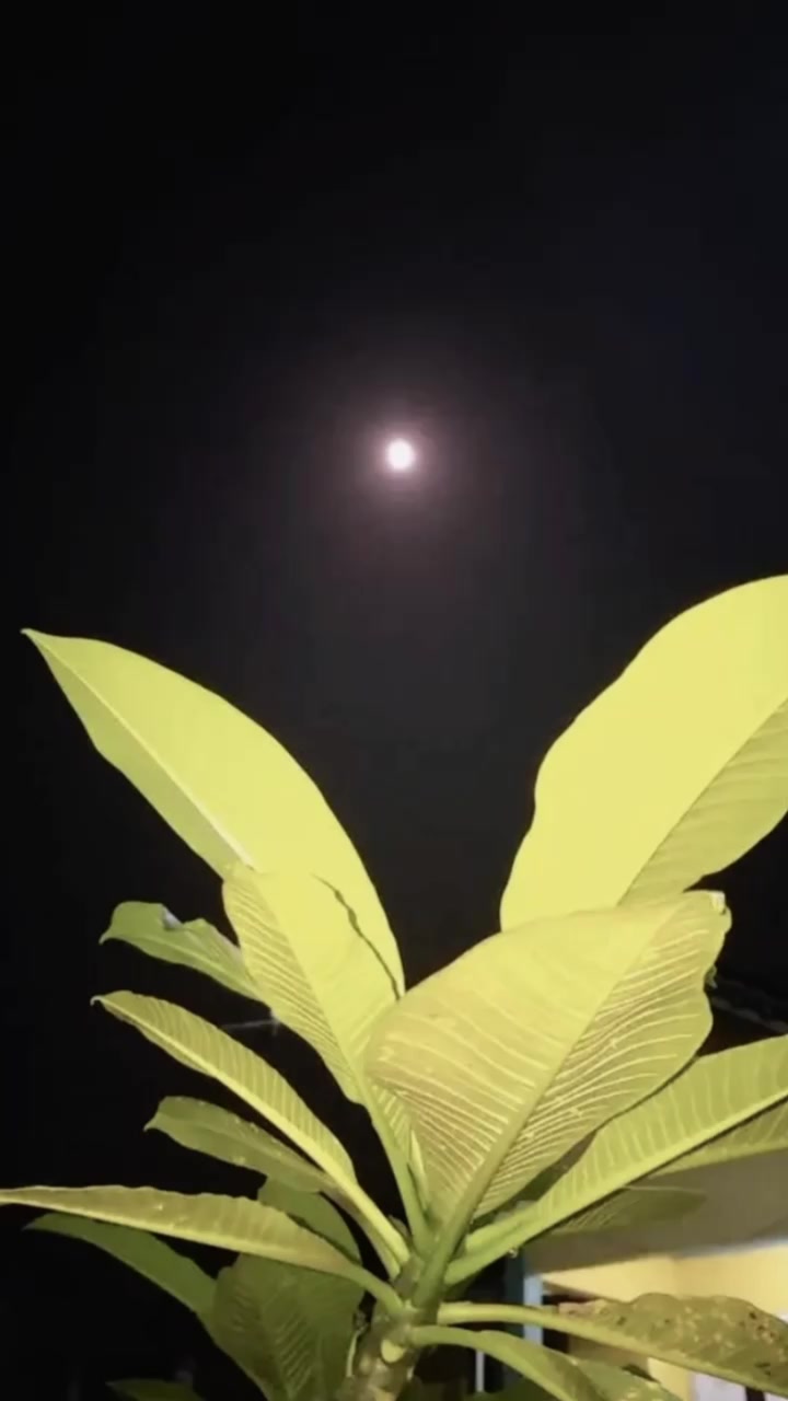 @4PR1LI4