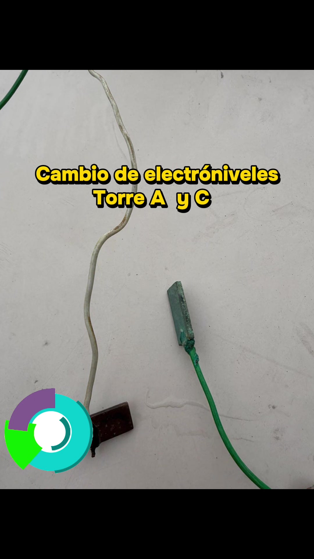 @GACEMA