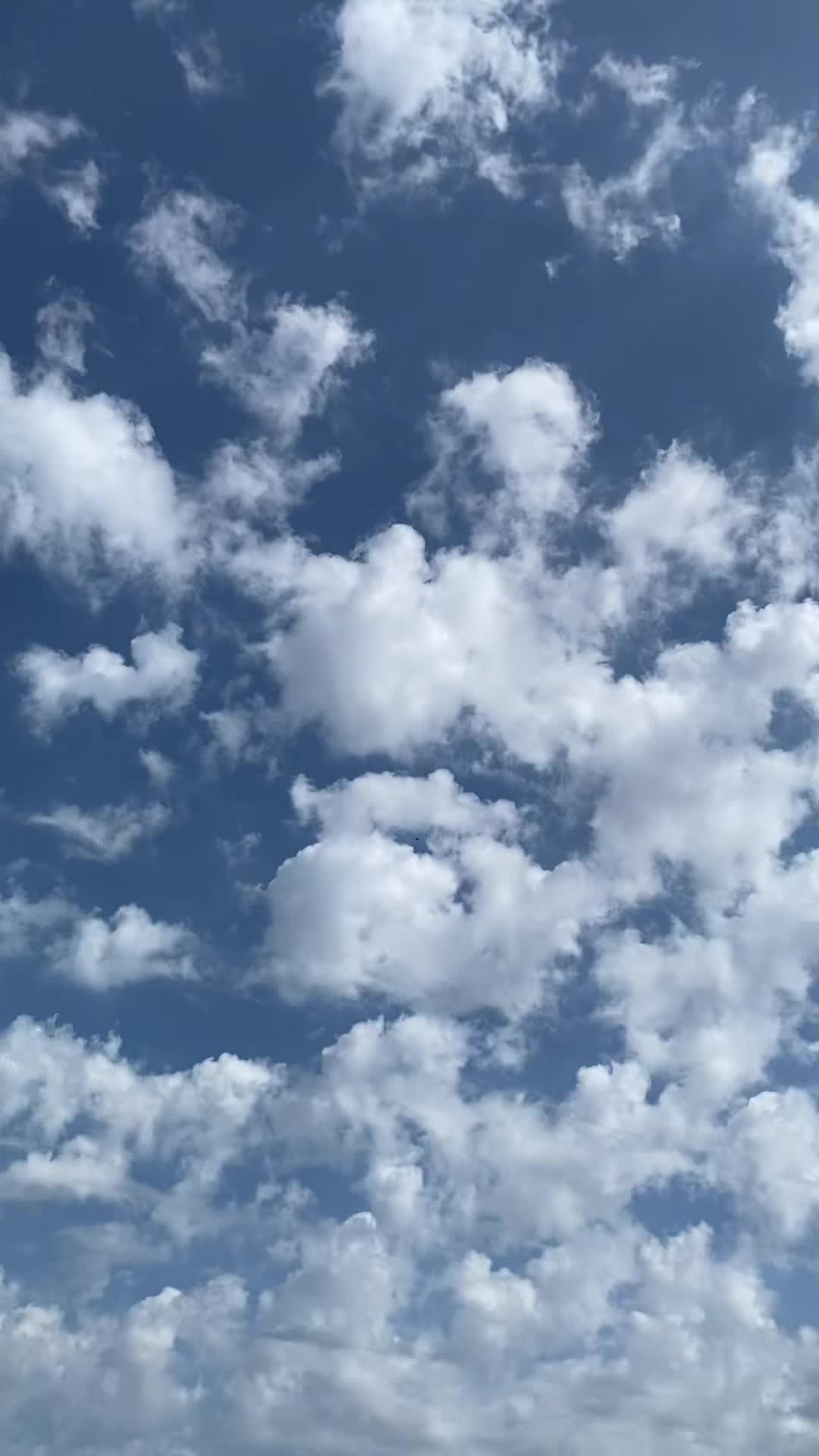 @FaithOverMatter49