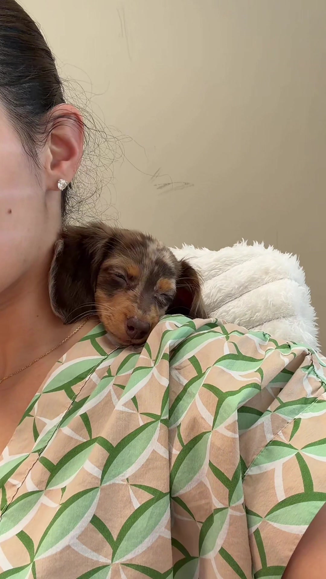 @Oli the Mini Doxie