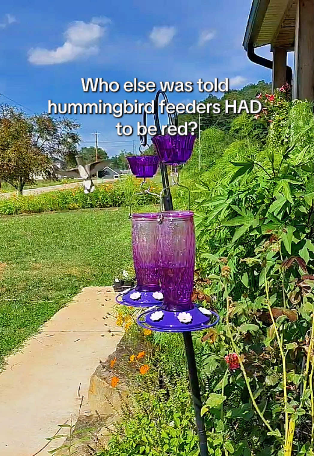 @lovedbyheather
