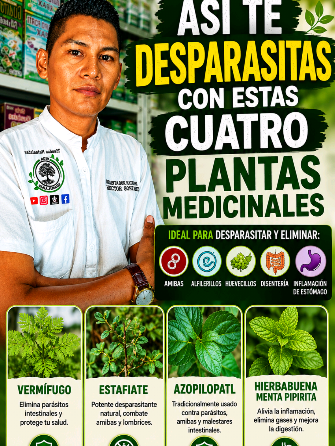 @Vida Herbolaria