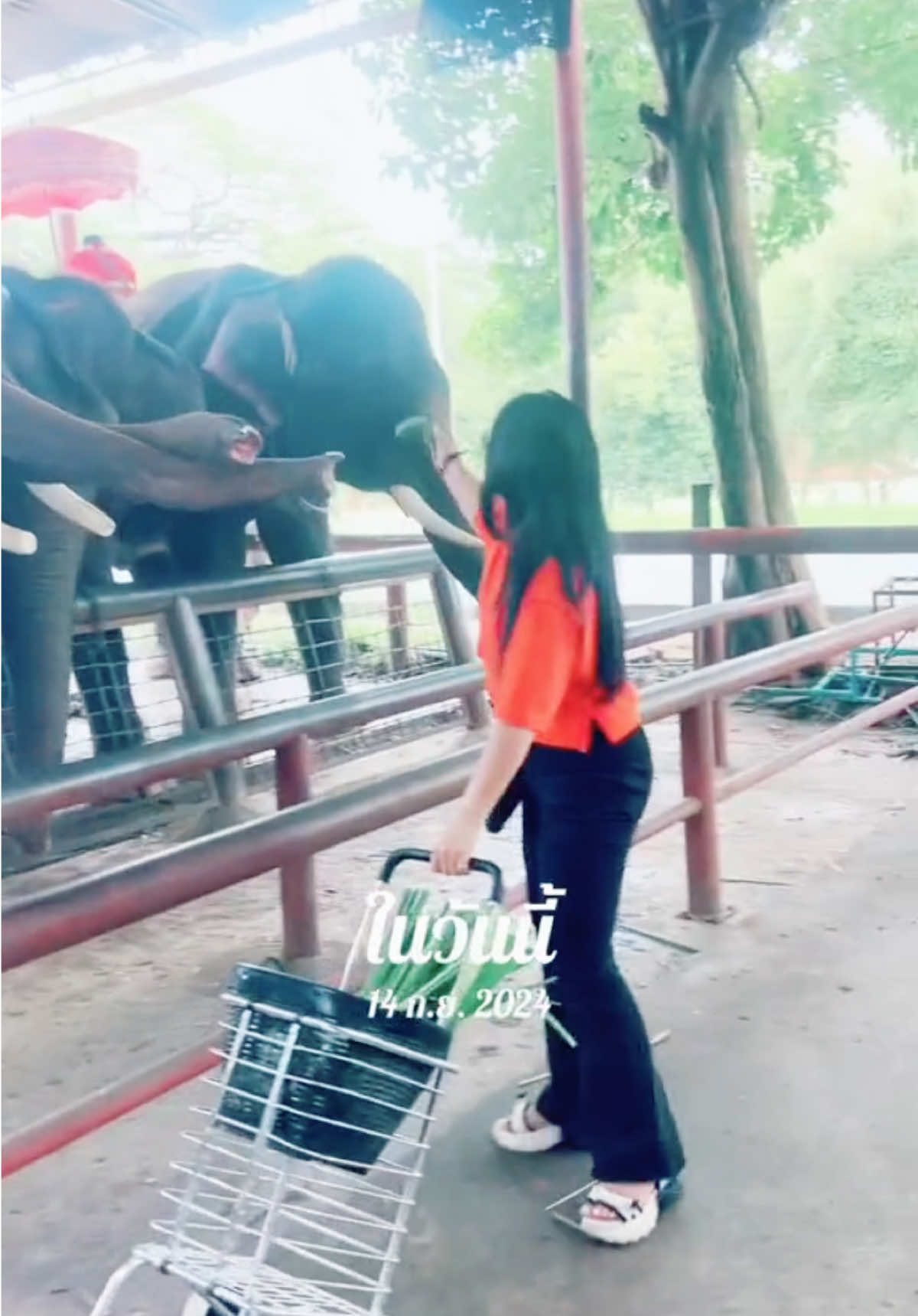 @พลอยพรม🍀🇹🇭🧜🏻♀️