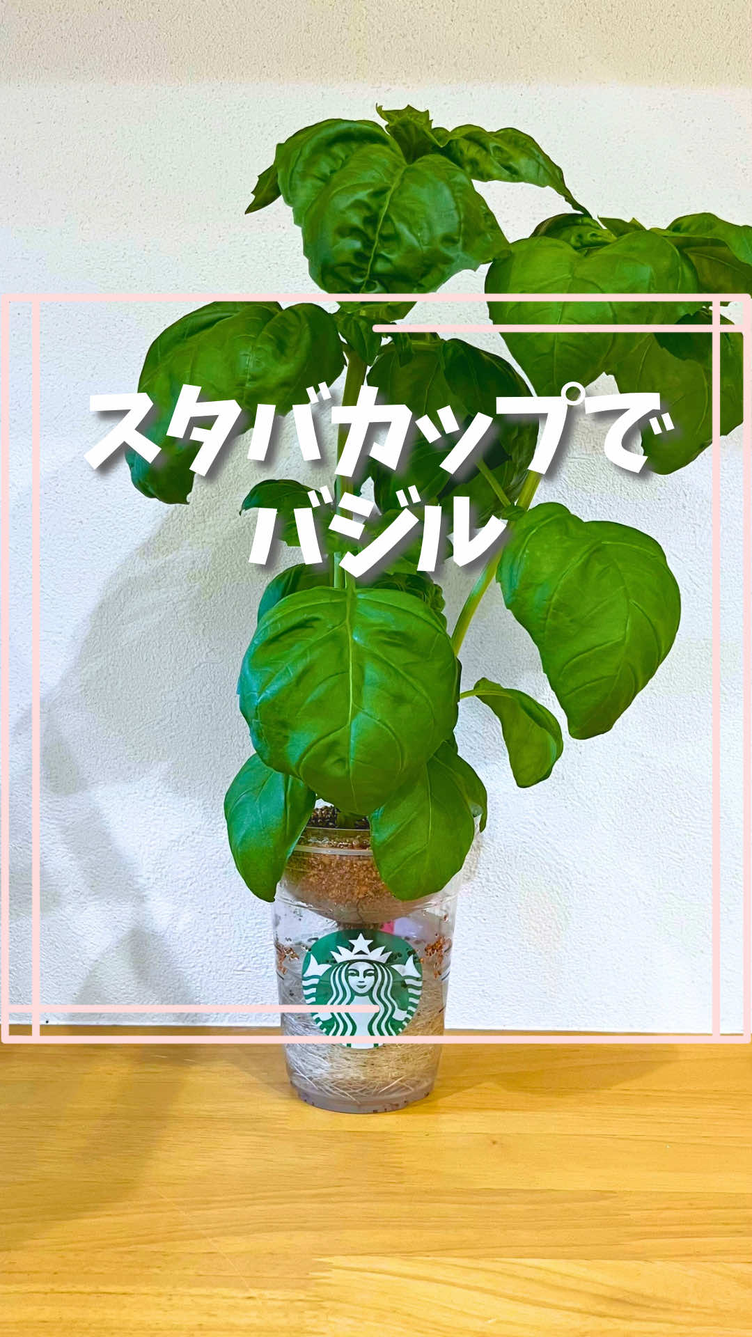 @はる|年間100種類の野菜を育てる3児のママ🍅
