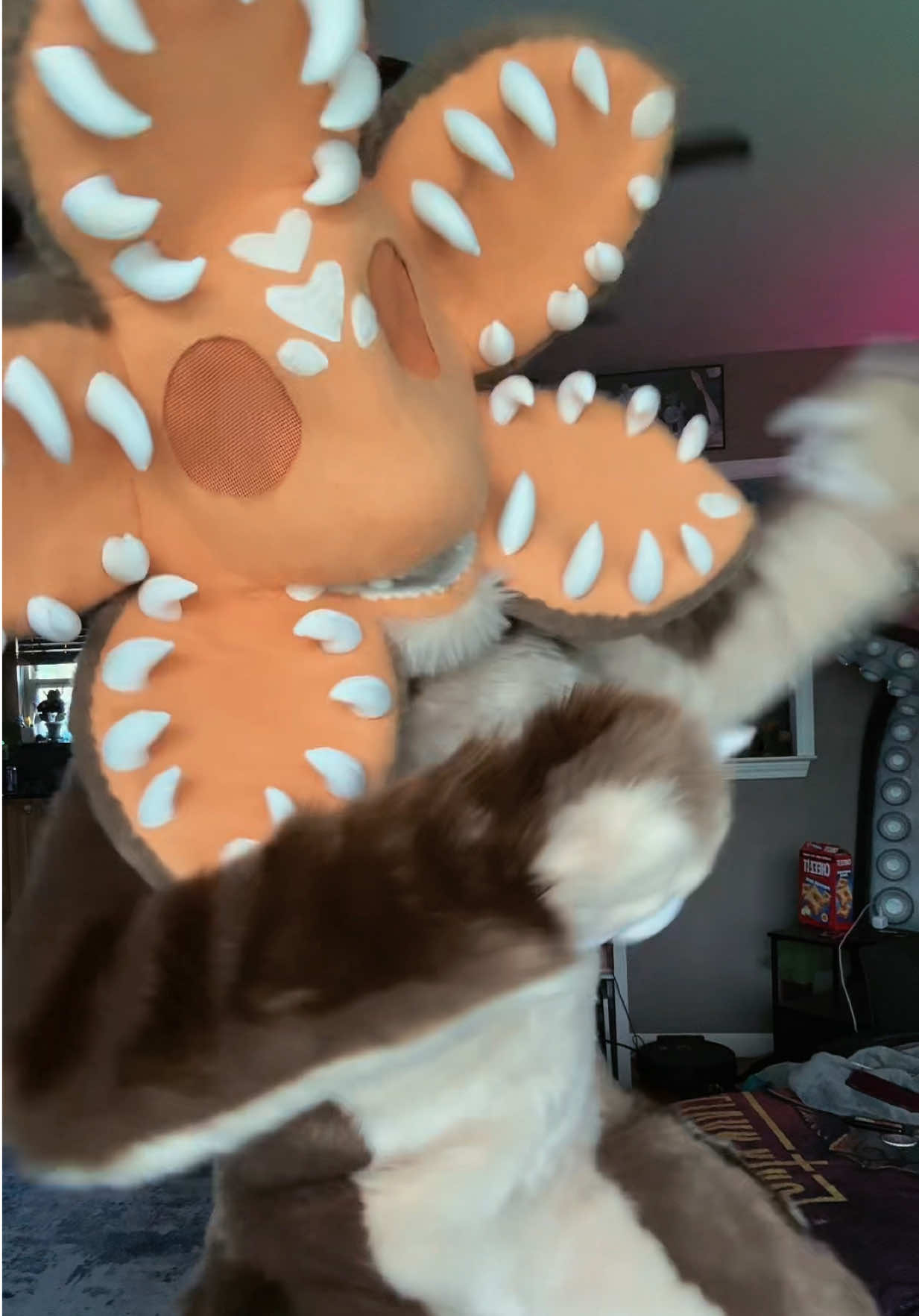 @Holofox
