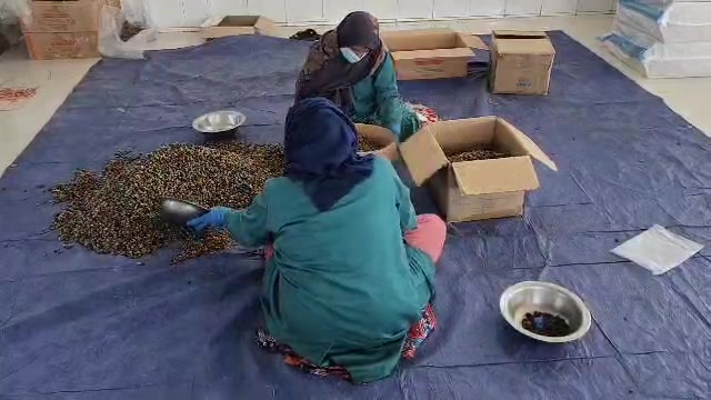 @ImportsaAfg