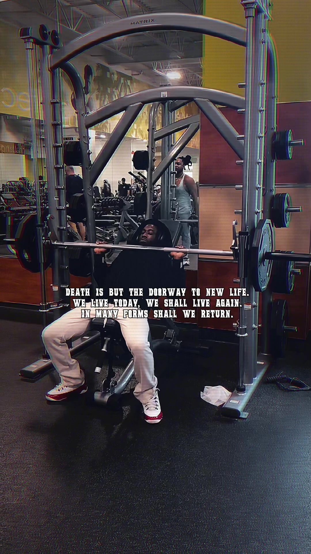@Shreddedvessel | Fitness