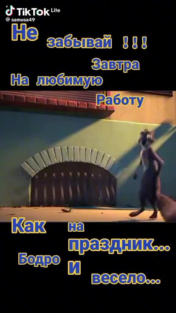 @user5084865435608