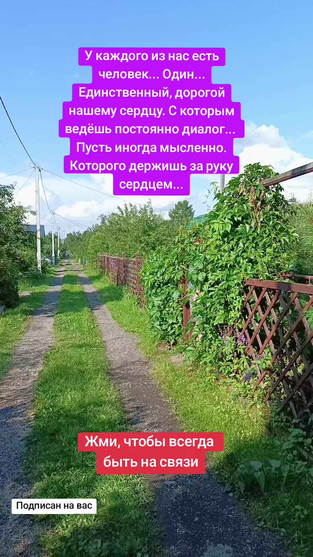 @zlodei_222